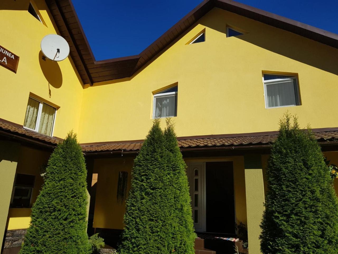 Pensiunea Cla Albac Dış mekan fotoğraf